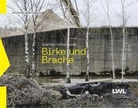 bokomslag Birke und Brache