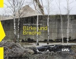 Birke und Brache 1
