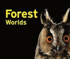 Jeanette Schmitz, Gasometer Oberhausen GmbH - Forest Worlds, Inbunden