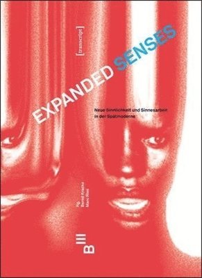 Bernd Kracke, Marc Ries - Expanded Senses: Neue Sinnlichkeit Und Sinnesarbeit in Der Spätmoderne. New Conceptions of the Sensual, Sensorial and the Work of the Senses in Late M, Häftad