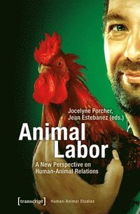 bokomslag Animal Labor  A New Perspective on HumanAnimal Relations