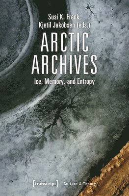 bokomslag Arctic Archives  Ice, Memory, and Entropy