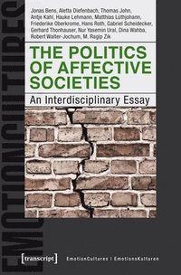 bokomslag The Politics of Affective Societies  An Interdisciplinary Essay