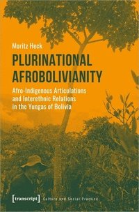 bokomslag Plurinational Afrobolivianity  AfroIndigenous Articulations and Interethnic Relations in the Yungas of Bolivia