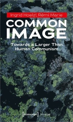Common Image