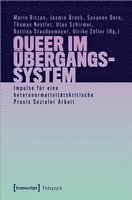 bokomslag Queer im Übergangssystem