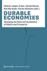 bokomslag Durable Economies: Organizing the Material Foundations of Society