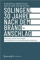 bokomslag Solingen, 30 Jahre nach dem Brandanschlag