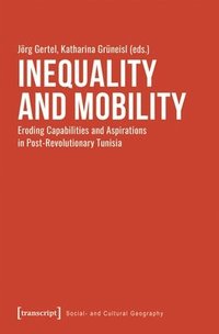 bokomslag Inequality and Mobility