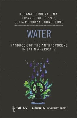 bokomslag Water - Handbook of the Anthropocene in Latin America IV