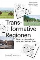 bokomslag Transformative Regionen