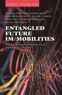 bokomslag Entangled Future Im/Mobilities: Interdisciplinary Perspectives on Mobility Studies