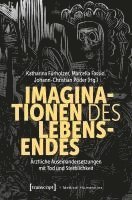 bokomslag Imaginationen des Lebensendes