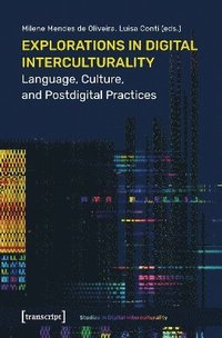 bokomslag Explorations in Digital Interculturality