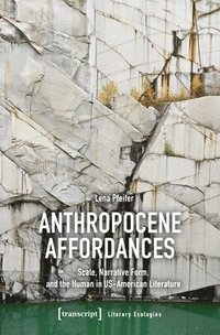 bokomslag Anthropocene Affordances