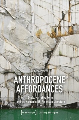 bokomslag Anthropocene Affordances
