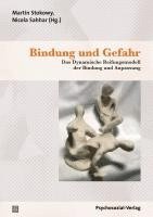 bokomslag Bindung und Gefahr
