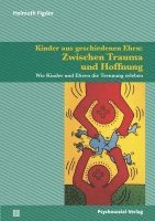 bokomslag Kinder aus geschiedenen Ehen: Zwischen Trauma und Hoffnung