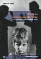 bokomslag Patient Scheidungsfamilie