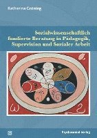 bokomslag Sozialwissenschaftlich fundierte Beratung in Pädagogik, Supervision und Sozialer Arbeit