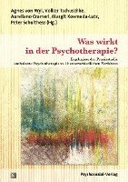 bokomslag Was wirkt in der Psychotherapie?