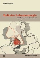 bokomslag Befreite Lebensenergie