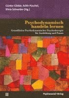 Günter Gödde, Edith Püschel, Silvia Schneider - Psychodynamisch handeln lernen, Häftad