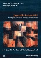 Bernd Ahrbeck, Margret Dörr, Johannes Gstach - Jugendkriminalität, Häftad