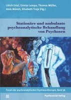 bokomslag Stationäre und ambulante psychoanalytische Behandlung von Psychosen