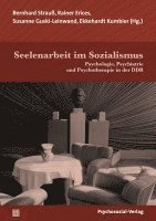 bokomslag Seelenarbeit im Sozialismus