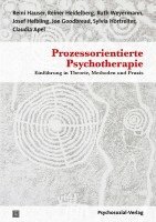 bokomslag Prozessorientierte Psychotherapie