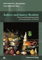 bokomslag Äußere und innere Realität