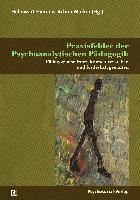 bokomslag Praxisfelder der Psychoanalytischen Pädagogik