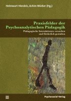 Helmwart Hierdeis, Achim Würker - Praxisfelder der Psychoanalytischen Pädagogik, Häftad