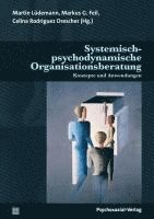 bokomslag Systemisch-psychodynamische Organisationsberatung