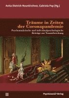 Träume in Zeiten der Coronapandemie 1