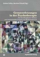 bokomslag Grenzverletzungen in der Psychotherapie