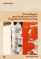 bokomslag Grundlagen psychodynamischer Organisationsberatung