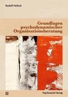 Rudolf Heltzel - Grundlagen psychodynamischer Organisationsberatung, Häftad