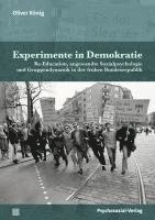bokomslag Experimente in Demokratie