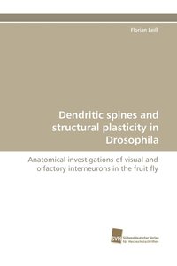 bokomslag Dendritic Spines and Structural Plasticity in Drosophila