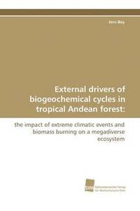 bokomslag External Drivers of Biogeochemical Cycles in Tropical Andean Forest