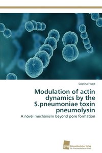 bokomslag Modulation of actin dynamics by the S.pneumoniae toxin pneumolysin