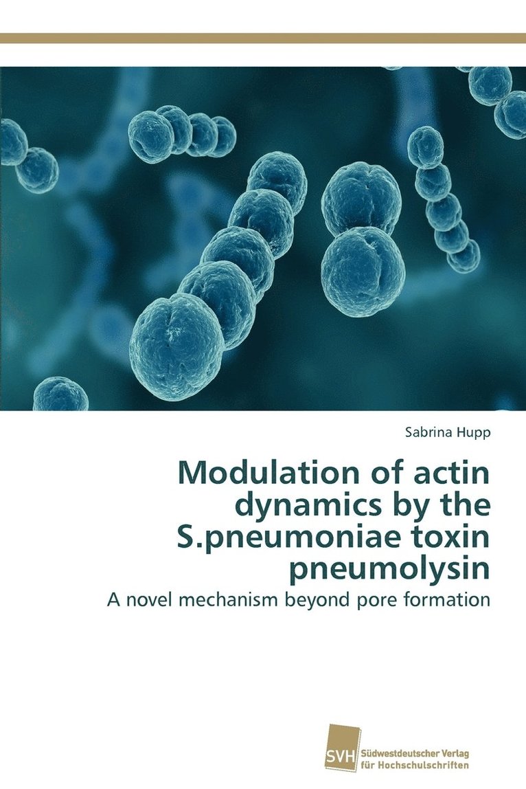 Modulation of actin dynamics by the S.pneumoniae toxin pneumolysin 1