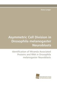 bokomslag Asymmetric Cell Division in Drosophila Melanogaster Neuroblasts