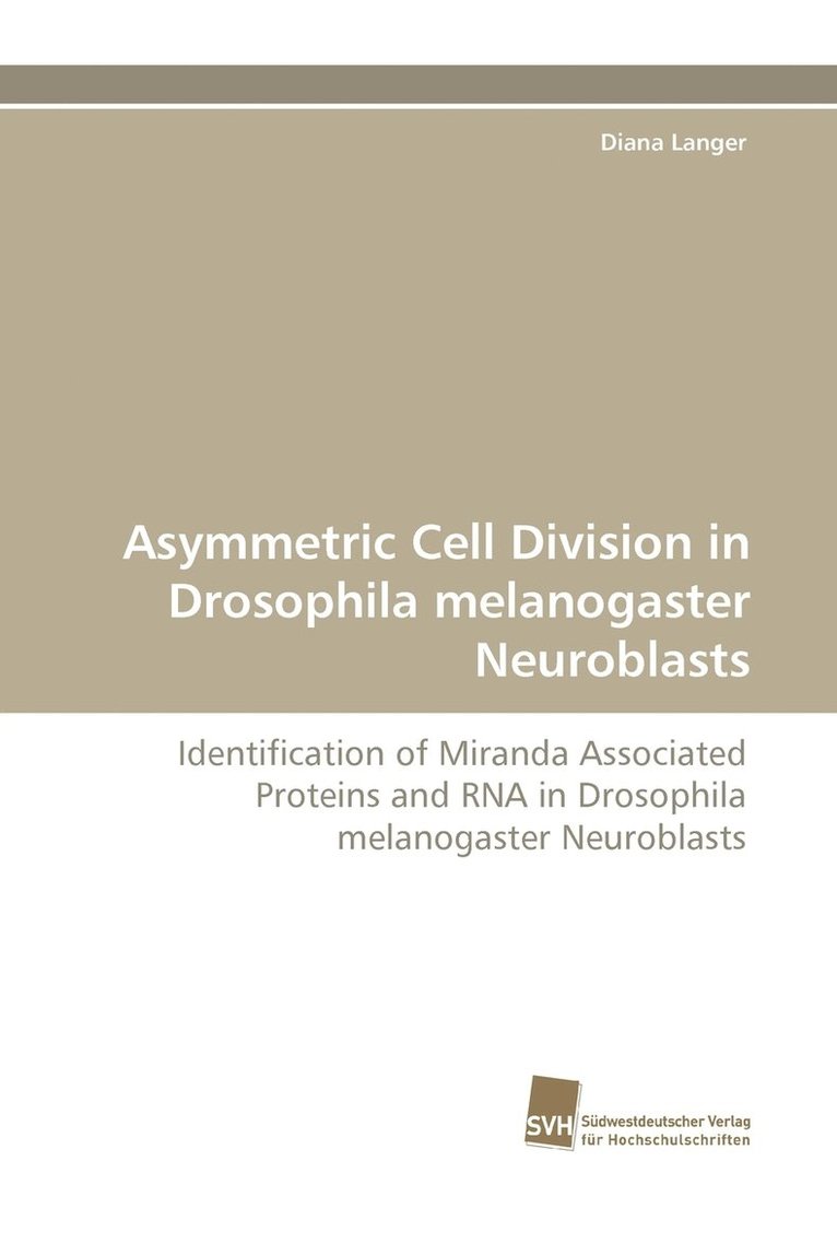 Asymmetric Cell Division in Drosophila Melanogaster Neuroblasts 1