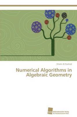 bokomslag Numerical Algorithms in Algebraic Geometry