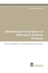 bokomslag Mathematical Description of Differential Hebbian Plasticity