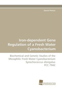 bokomslag Iron-Dependent Gene Regulation of a Fresh Water Cyanobacterium