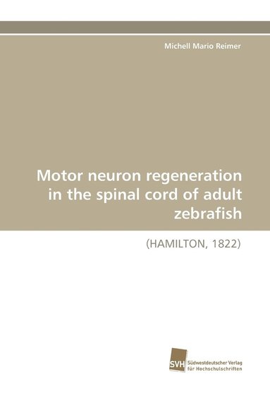 bokomslag Motor neuron regeneration in the spinal cord of adult zebrafish
